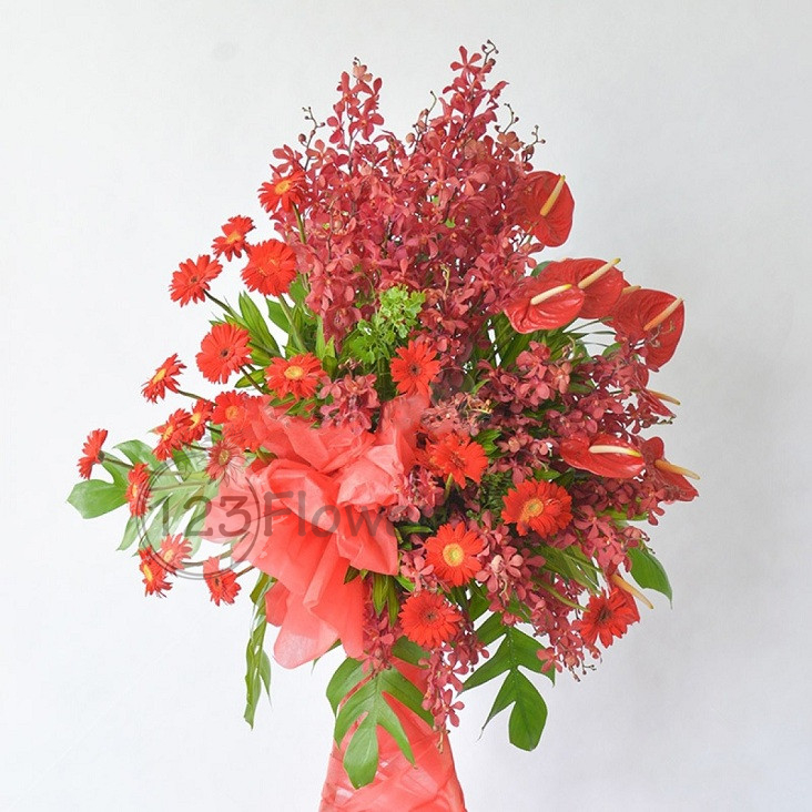 Vươn Cao Ước Mơ